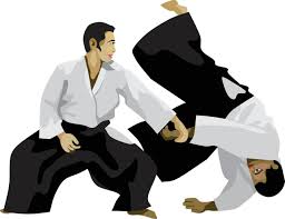 aikido sport