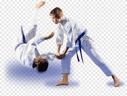 karate judo
