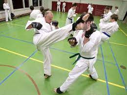 vechtsport karate