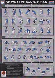 judo dan