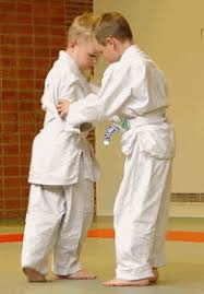 wat betekent judo