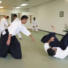 aikido westland