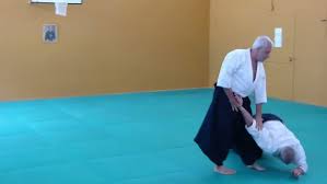 roberto martucci aikido