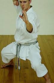 andre bertel karate