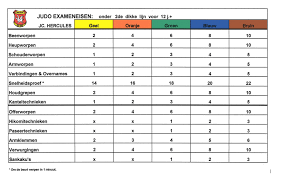 bandensysteem judo