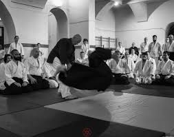 eurasia aikido