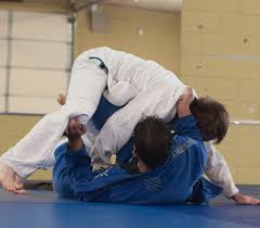 judo reeshof