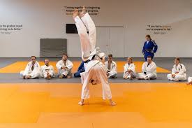 papendal judo training