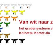 gele slip karate