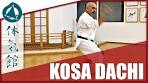 kosa dachi
