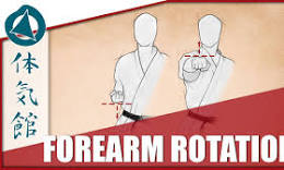 fiore tartaglia karate
