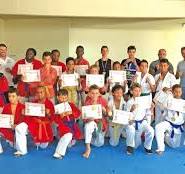 shindokai karate
