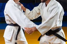 fitness judo