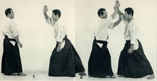shomen aikido