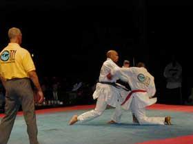 leon karate