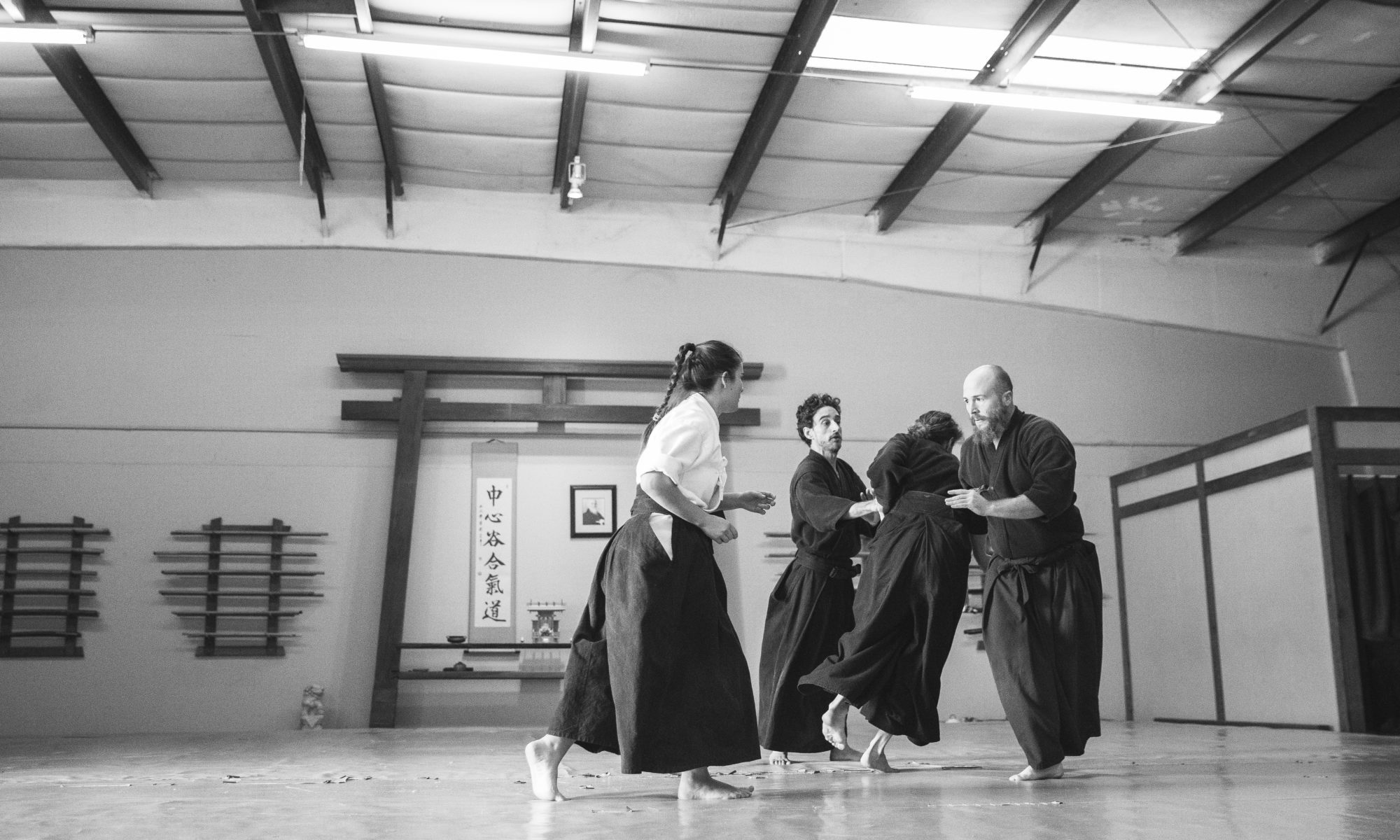 mma aikido