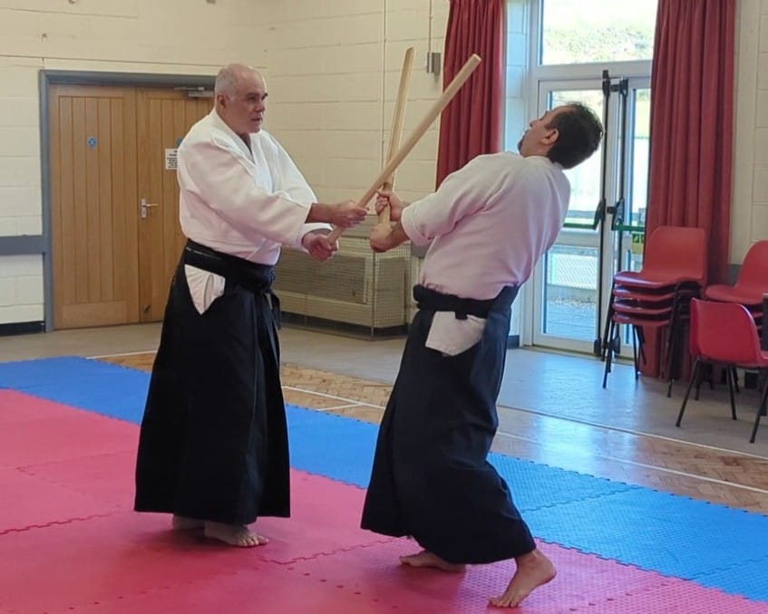 aikido ken