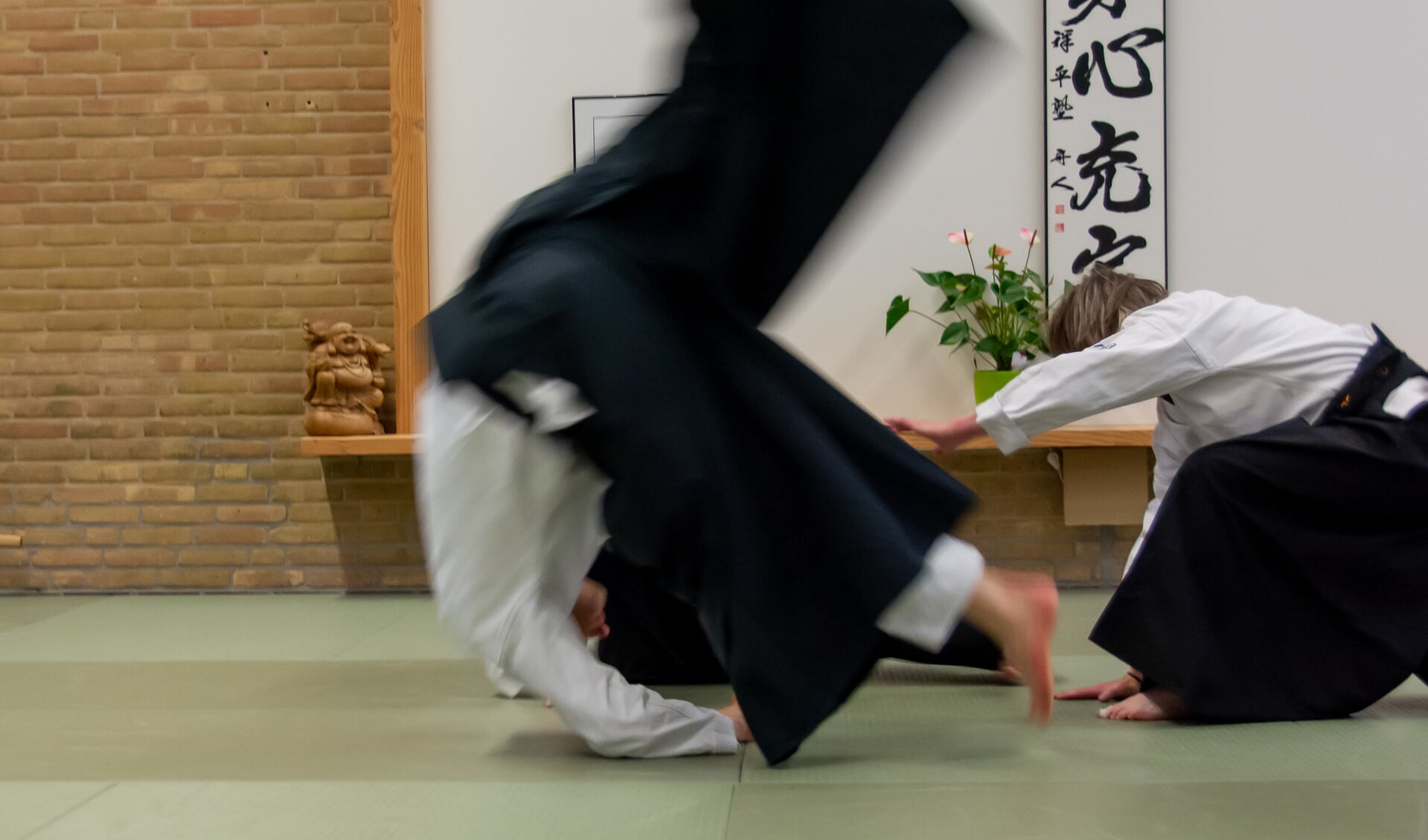 aikido nl