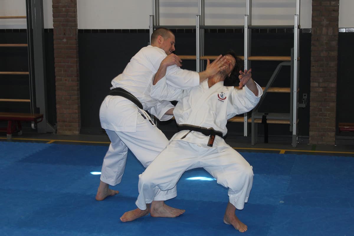 aikido nage waza