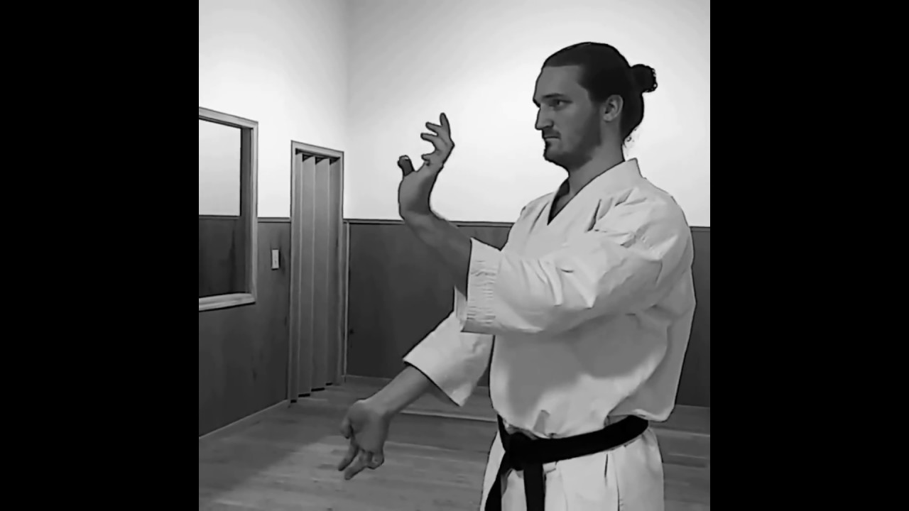tora karate