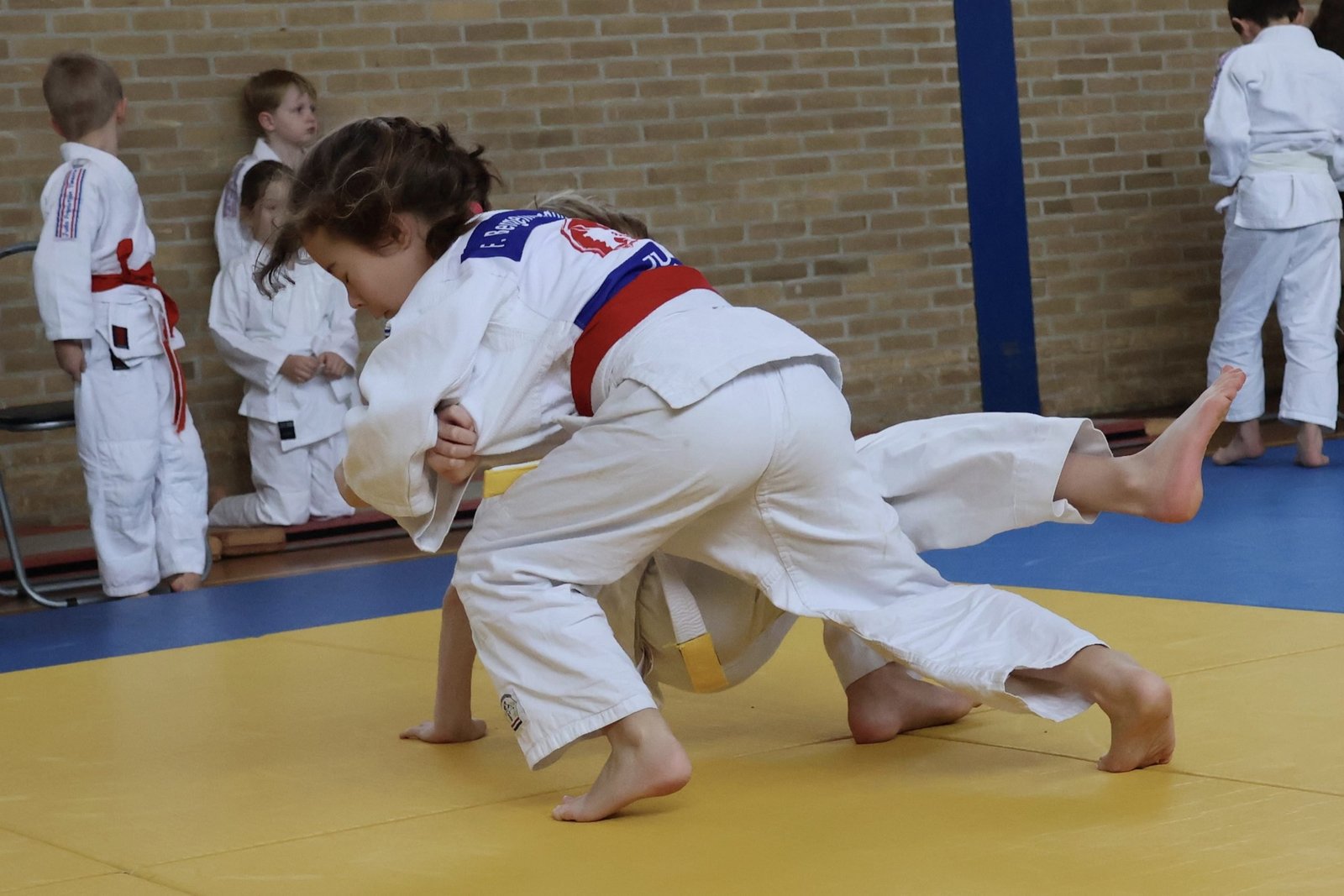 leo de vries judo