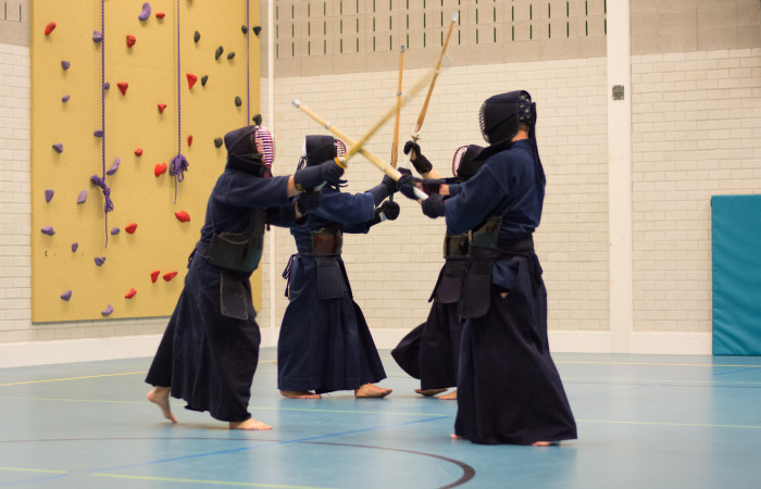 japanse vechtsport lege hand