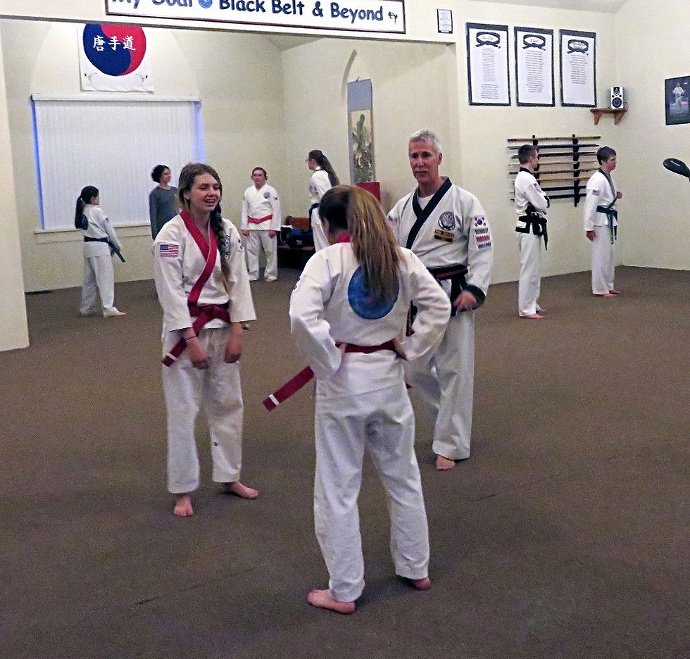 arteca karate