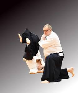 aiki budo nl