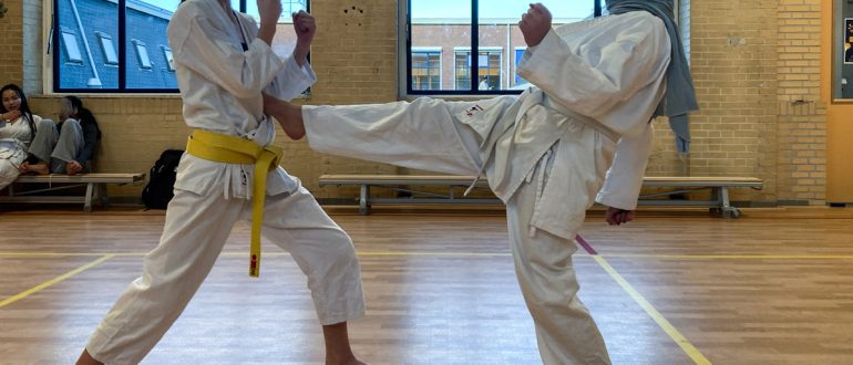 aikibudo ronin