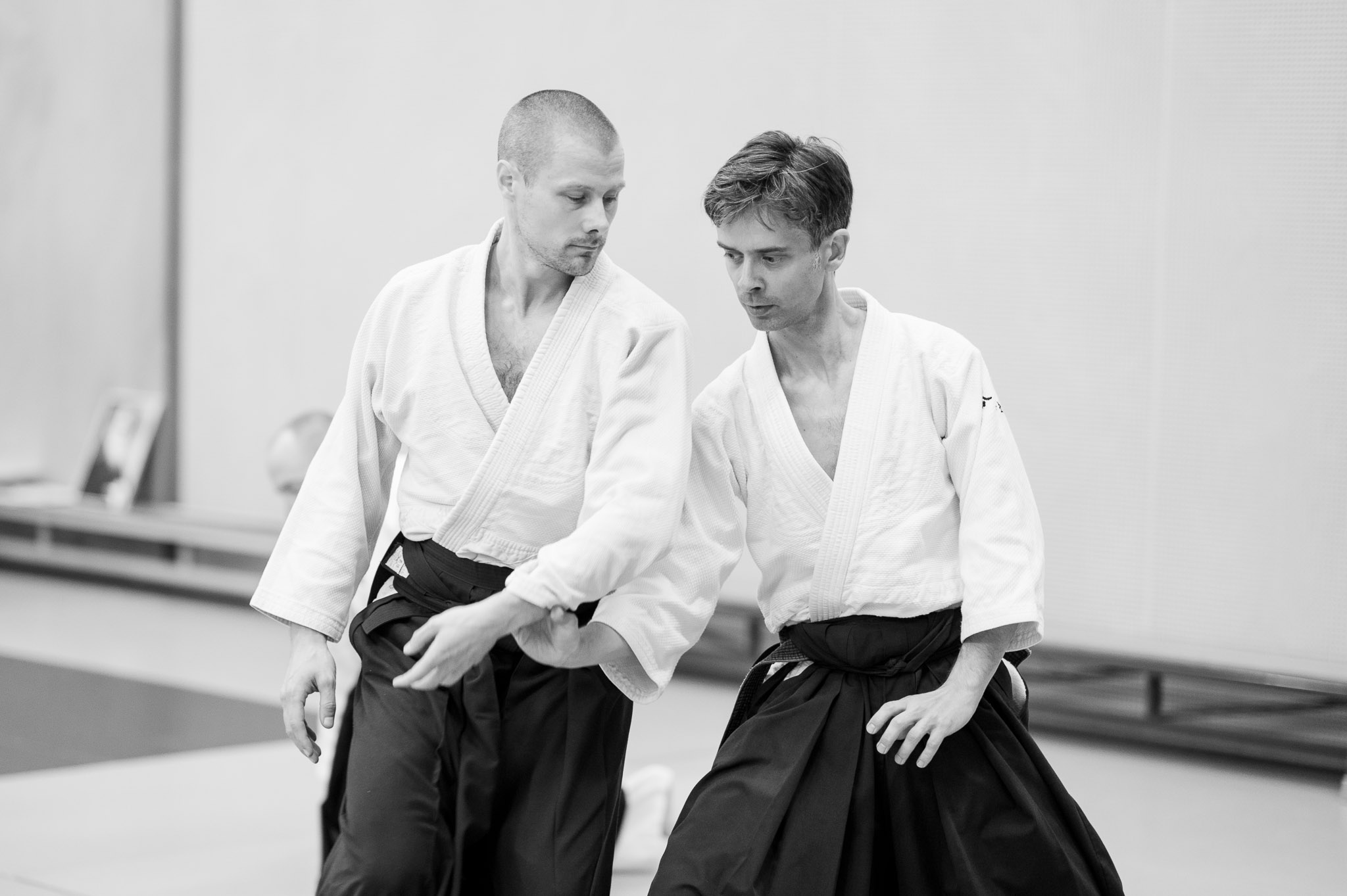 aikido 3d 2.0