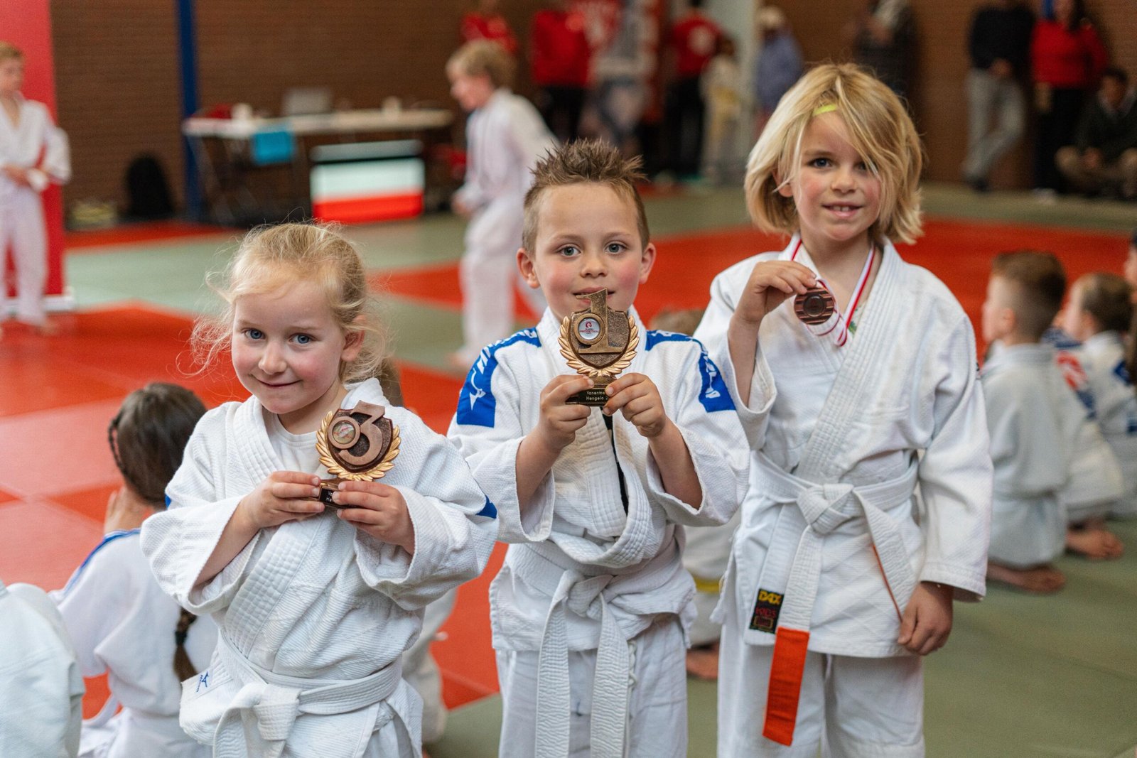priveles judo