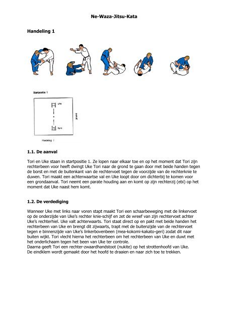 jiu jitsu ne waza