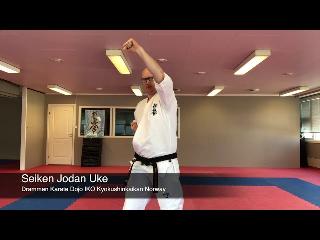 jodan karate